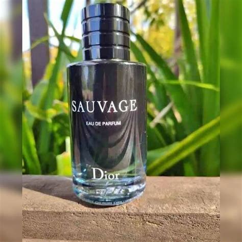 sauvage dior no brasil